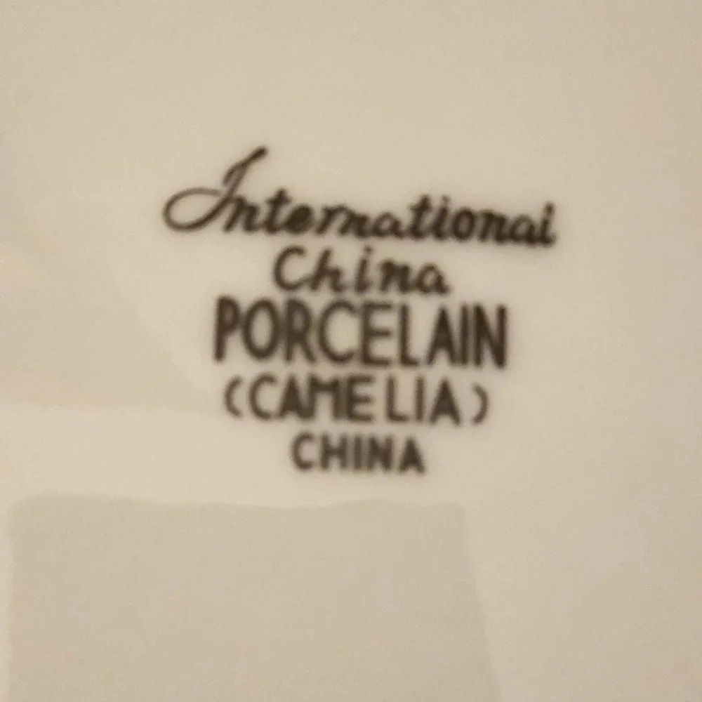Vintage Dinner Plate by International China in 